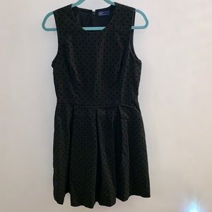 GAP Velvet Polka Dot Dress